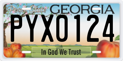 GA license plate PYX0124