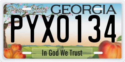 GA license plate PYX0134