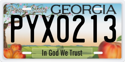 GA license plate PYX0213