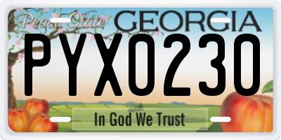 GA license plate PYX0230