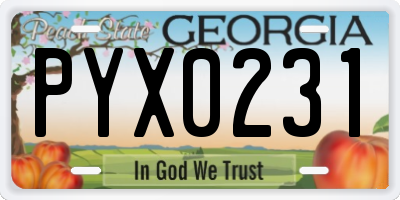 GA license plate PYX0231