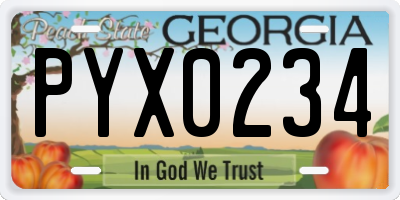 GA license plate PYX0234