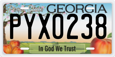 GA license plate PYX0238