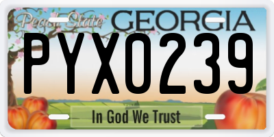 GA license plate PYX0239