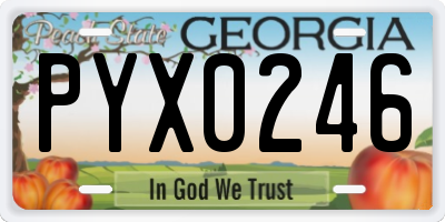 GA license plate PYX0246