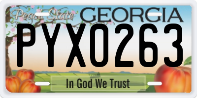 GA license plate PYX0263