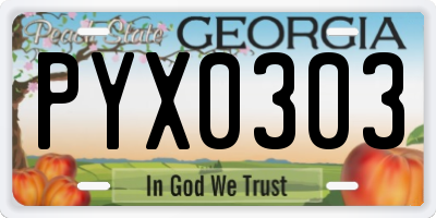 GA license plate PYX0303