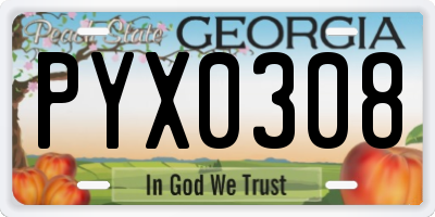 GA license plate PYX0308