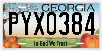 GA license plate PYX0384