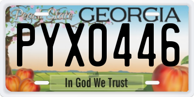 GA license plate PYX0446