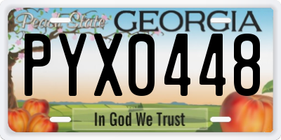 GA license plate PYX0448