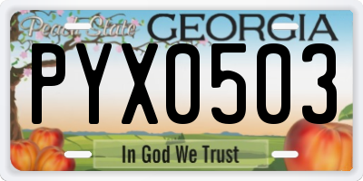 GA license plate PYX0503