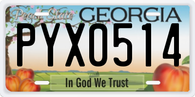 GA license plate PYX0514