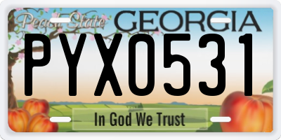 GA license plate PYX0531