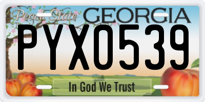 GA license plate PYX0539