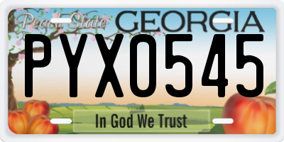 GA license plate PYX0545