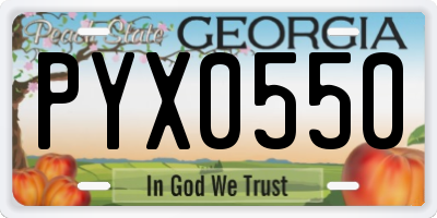 GA license plate PYX0550