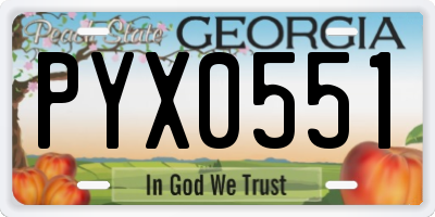 GA license plate PYX0551