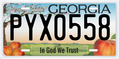 GA license plate PYX0558