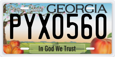 GA license plate PYX0560
