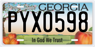 GA license plate PYX0598