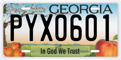 GA license plate PYX0601
