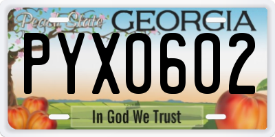 GA license plate PYX0602