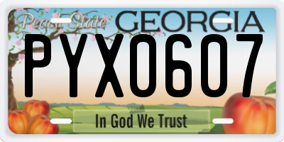 GA license plate PYX0607