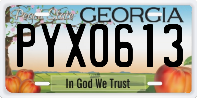 GA license plate PYX0613