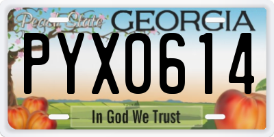 GA license plate PYX0614