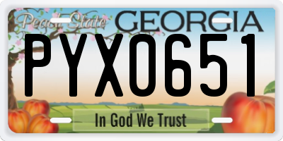 GA license plate PYX0651