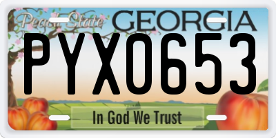 GA license plate PYX0653