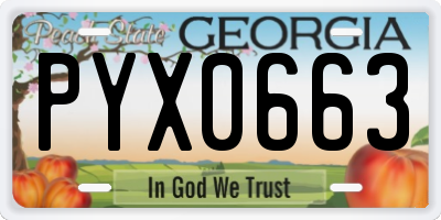 GA license plate PYX0663