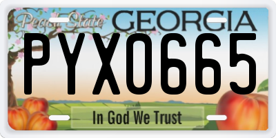GA license plate PYX0665