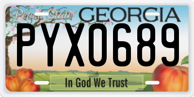 GA license plate PYX0689