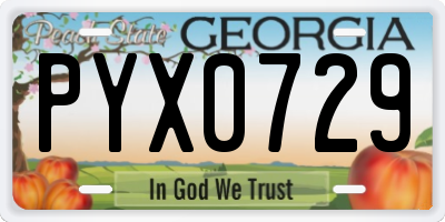 GA license plate PYX0729