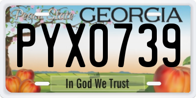 GA license plate PYX0739