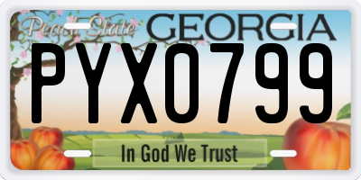 GA license plate PYX0799