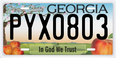 GA license plate PYX0803