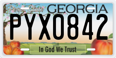 GA license plate PYX0842