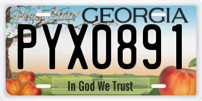 GA license plate PYX0891