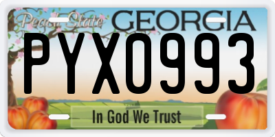 GA license plate PYX0993