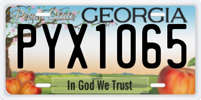 GA license plate PYX1065