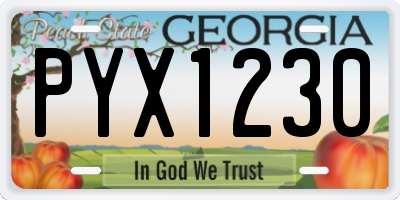 GA license plate PYX1230