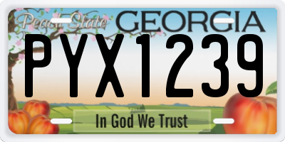 GA license plate PYX1239