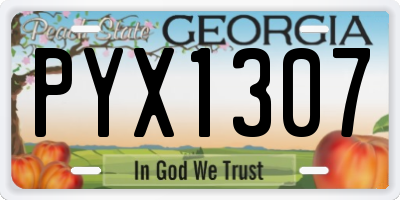 GA license plate PYX1307