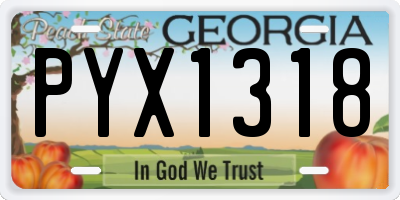 GA license plate PYX1318