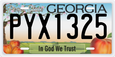 GA license plate PYX1325