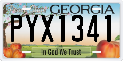 GA license plate PYX1341