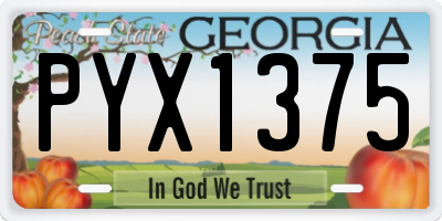 GA license plate PYX1375